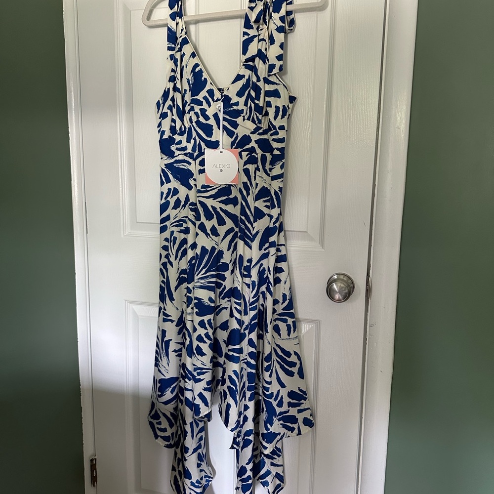 Alexis for Target stunning silk dress